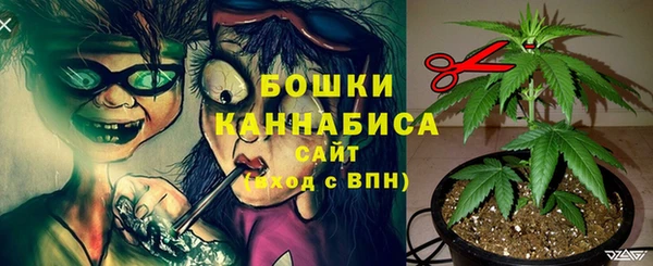 стаф Корсаков