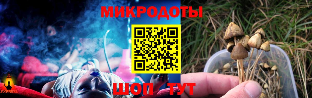 Ярцево  Псилоцибиновые грибы Magic Shrooms  Псилоцибиновые грибы GOLDEN TEACHER  Вход с VPN 